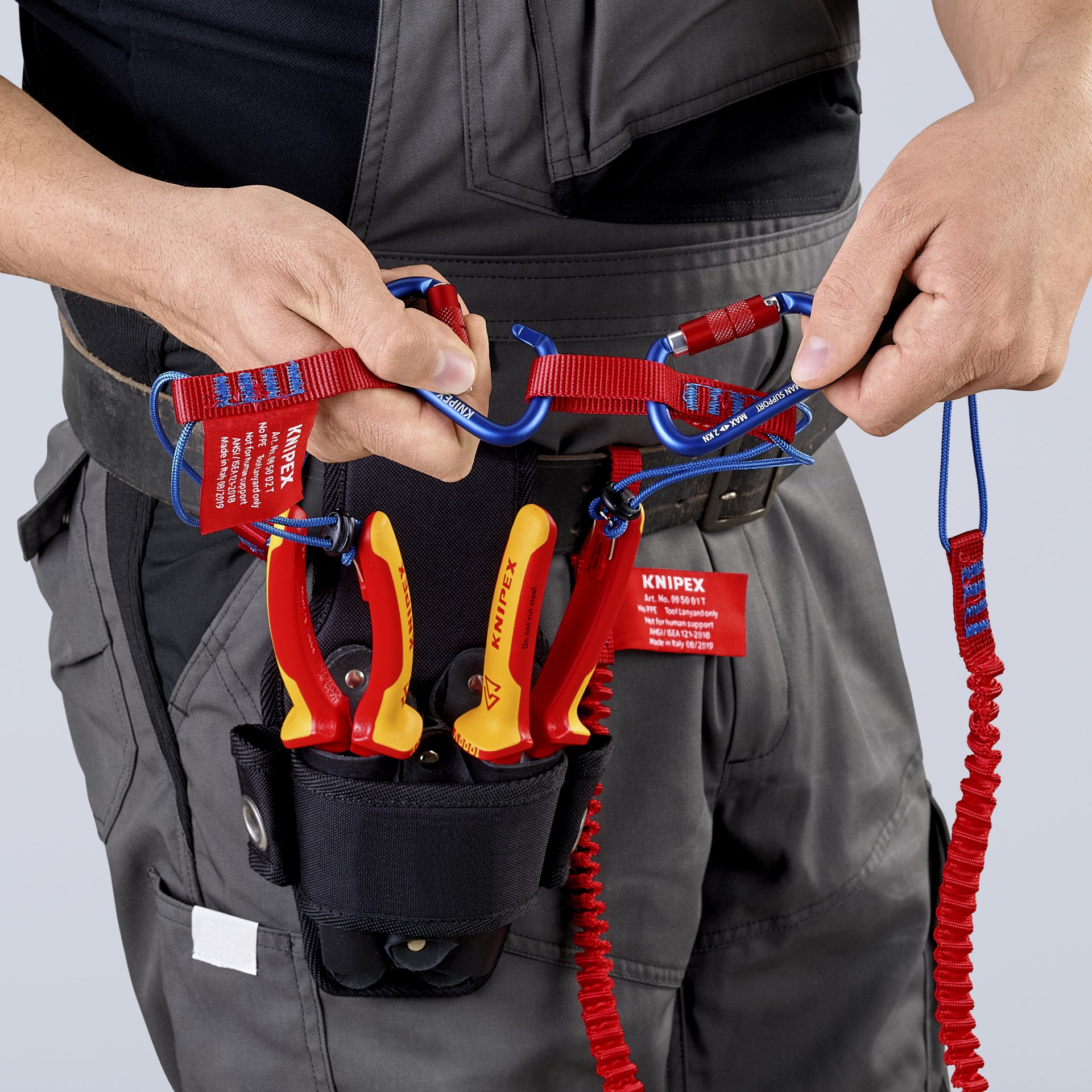 Harness