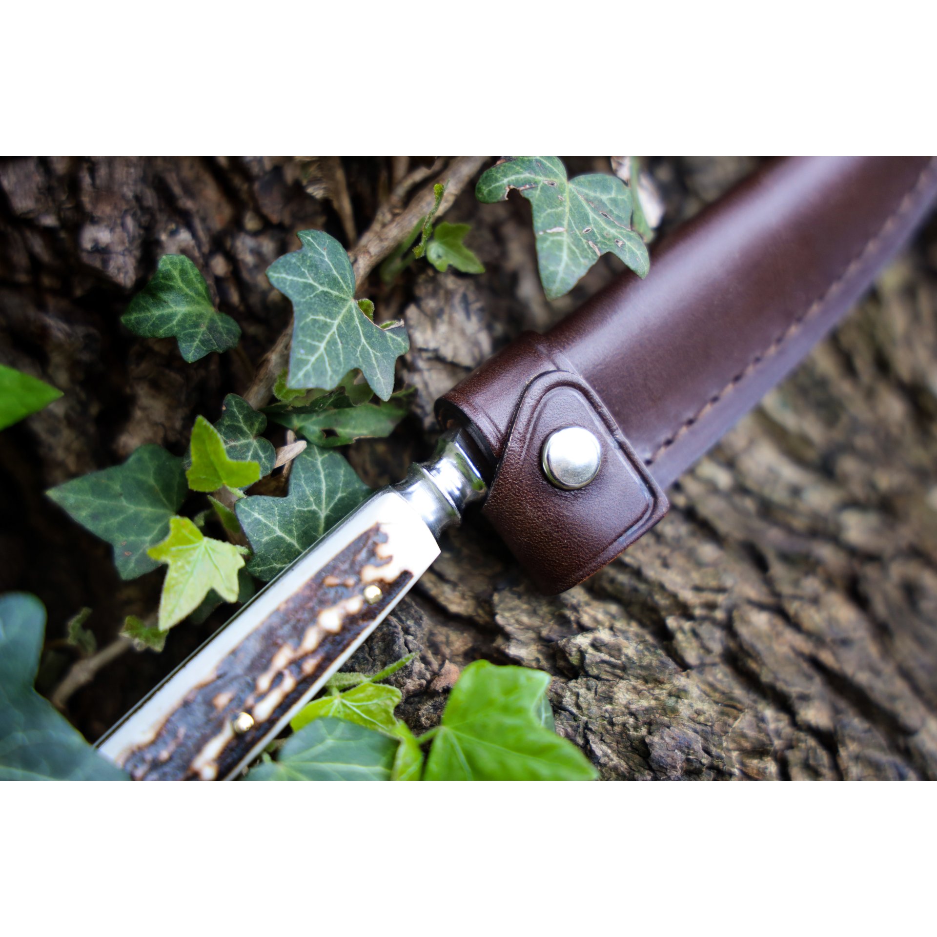 Blatt, Pflanze, Klinge, Waffe