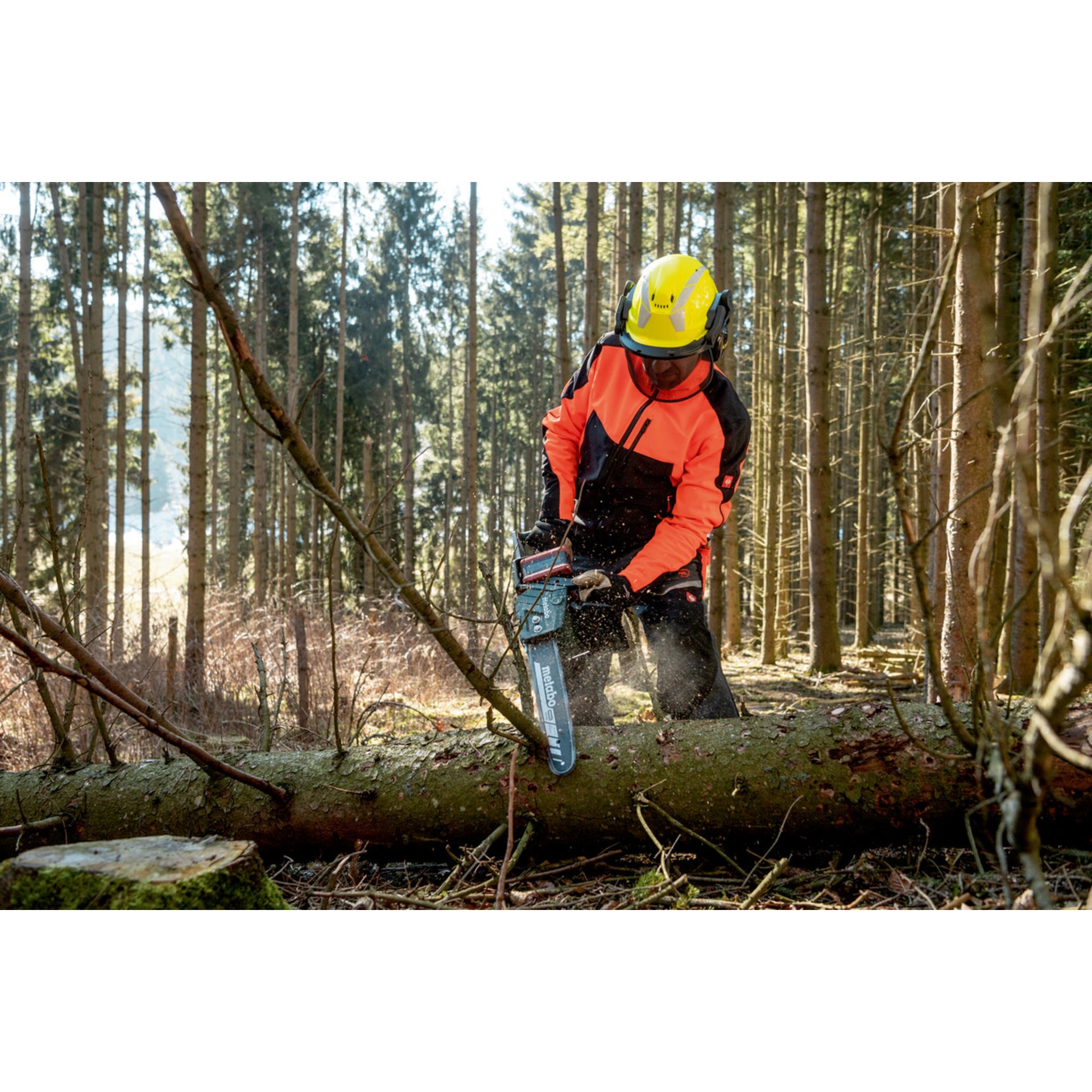 Schutzhelm, Helm, Person, Arbeiter, Vegetation