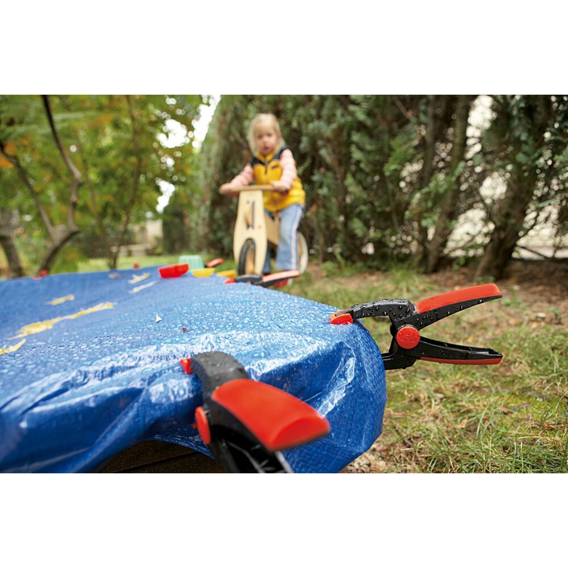 Gras, Pflanze, Person, Drinnen, Innenarchitektur