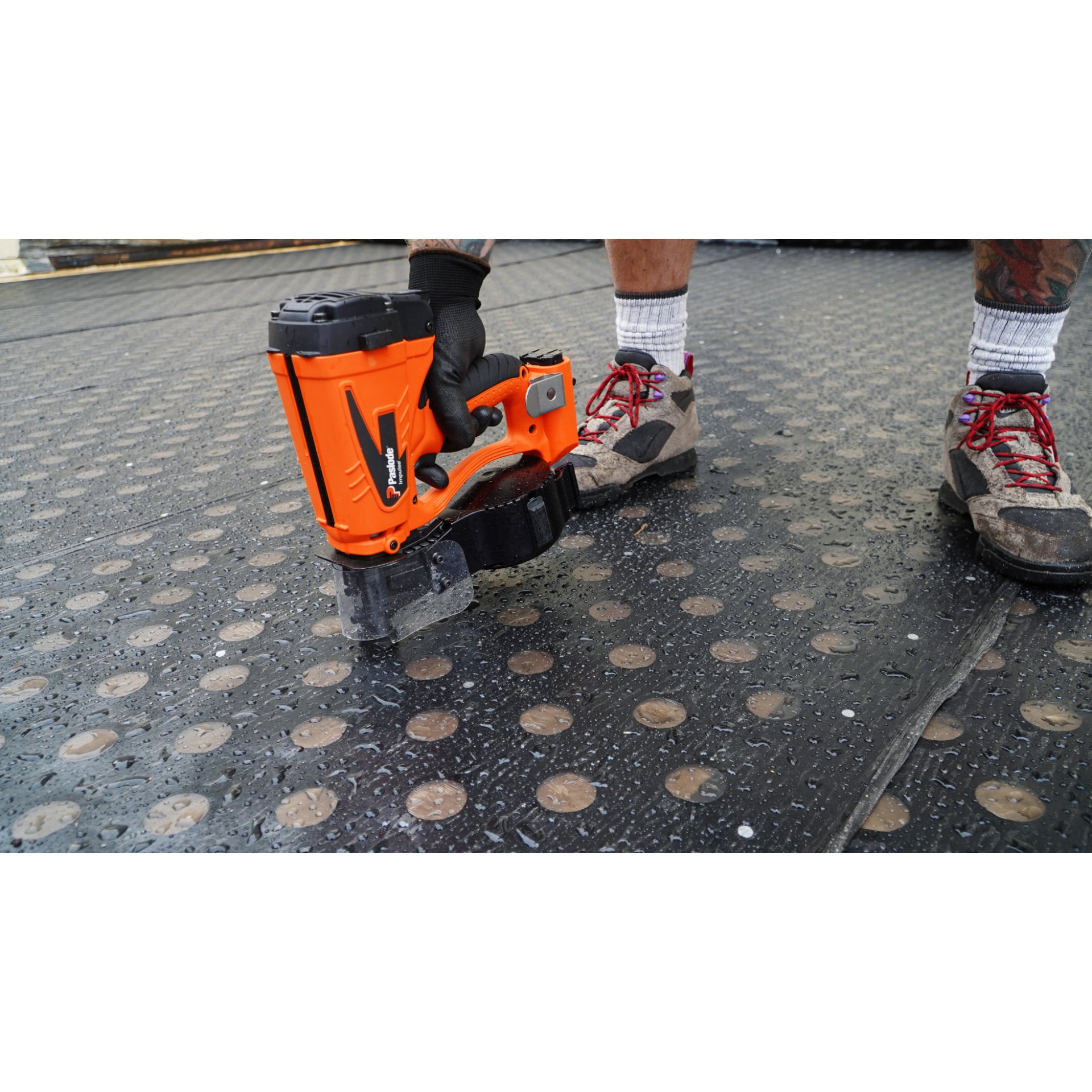 Bekleidung, Schuhwerk, Schuh, Sneaker