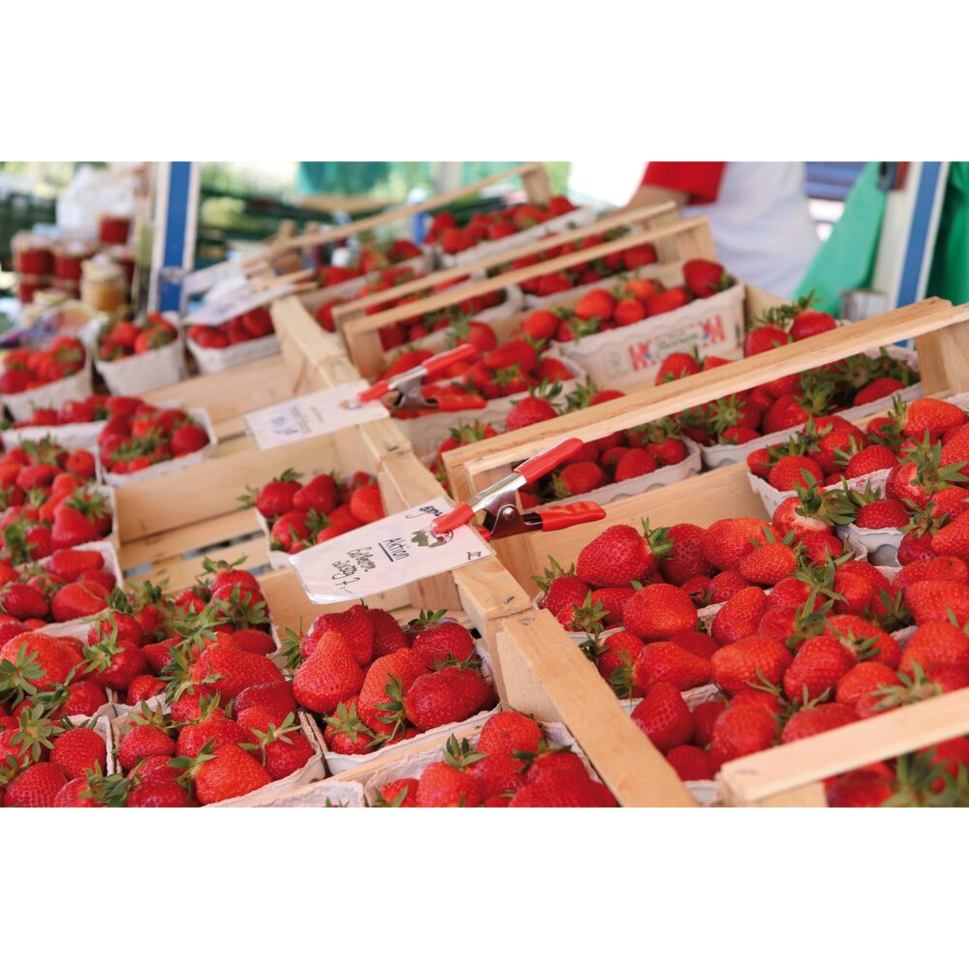 Beere, Produzieren, Erdbeere, Zangen, Person