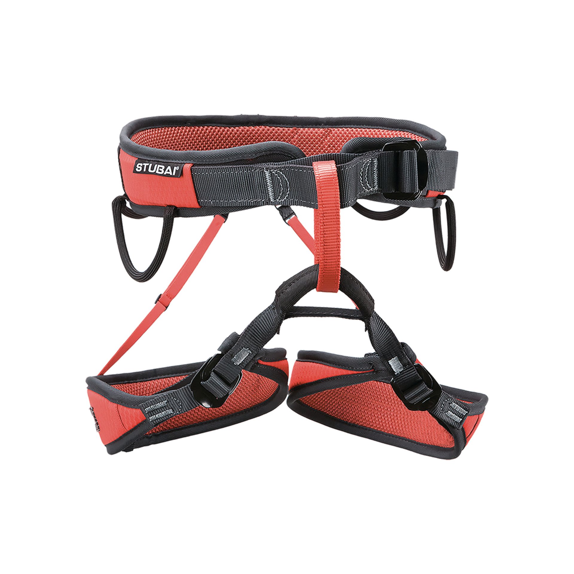Harness