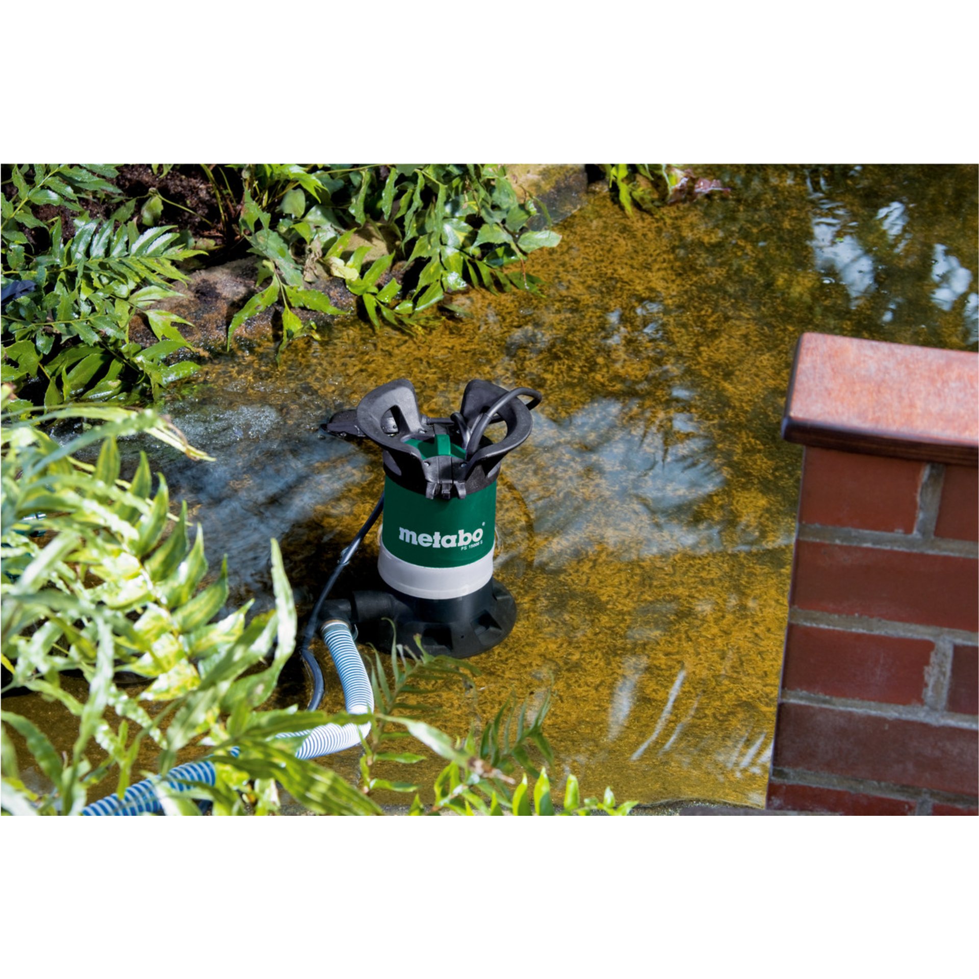 Natur, Draußen, Teich, Wasser, Backstein