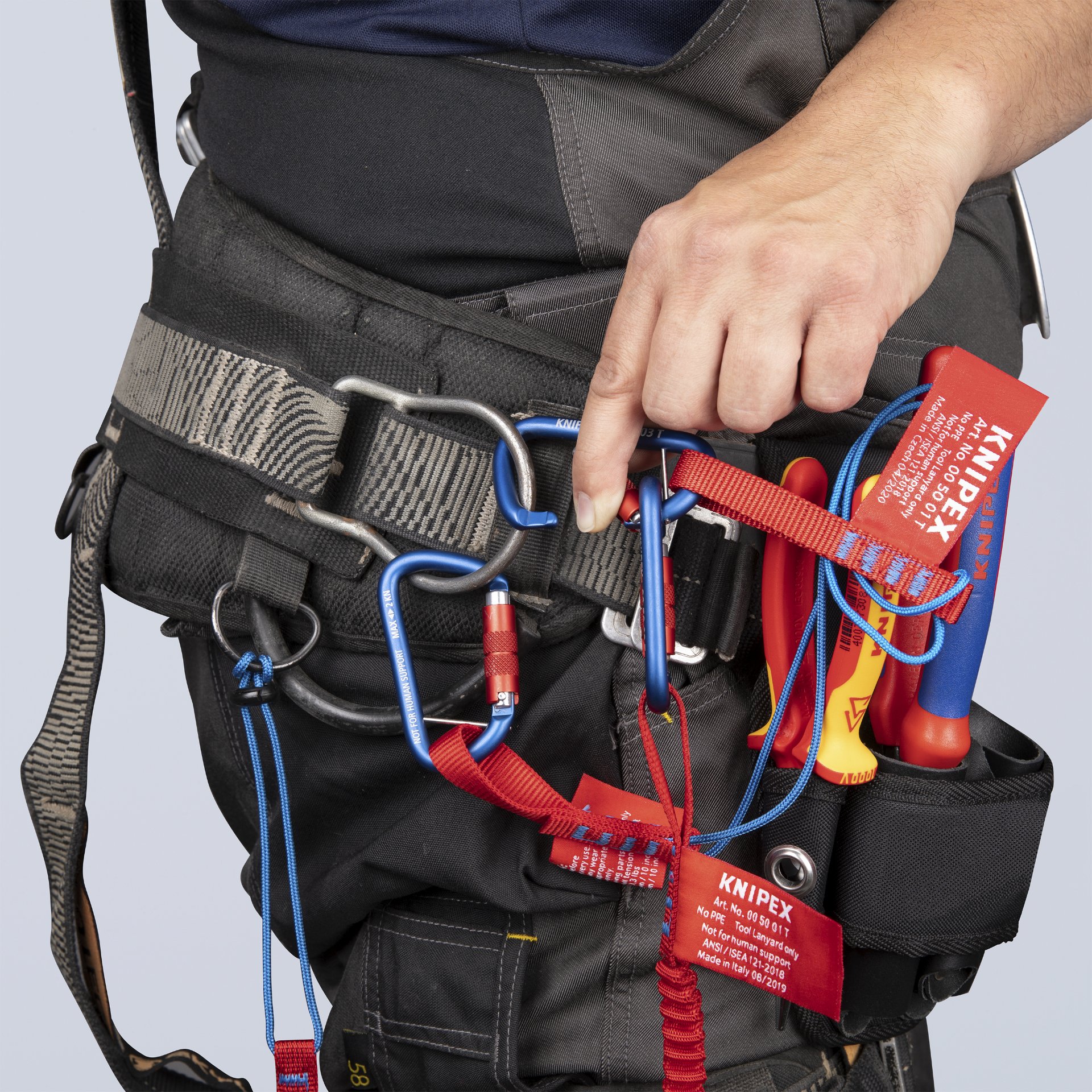 Harness